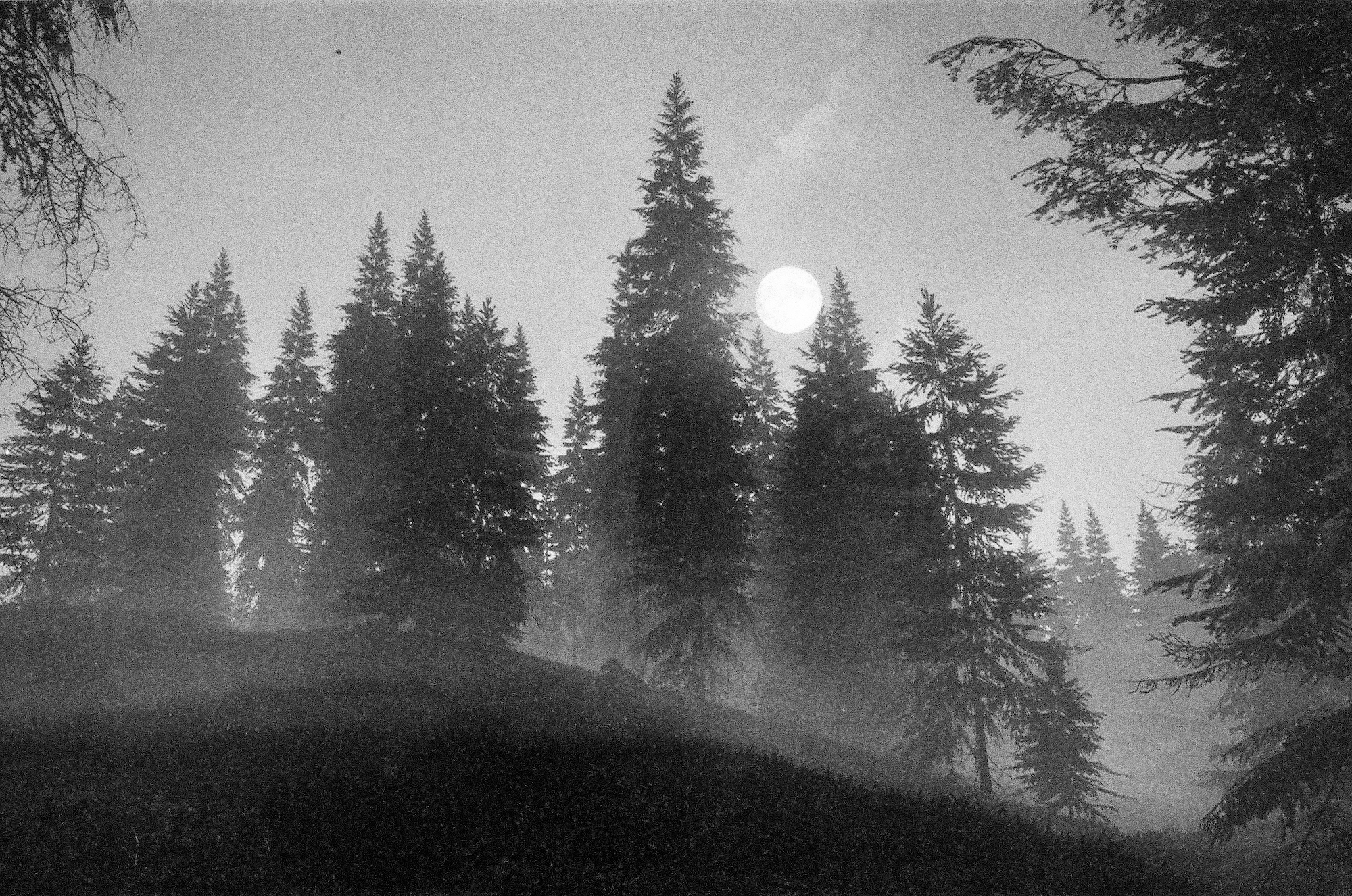 theHunter